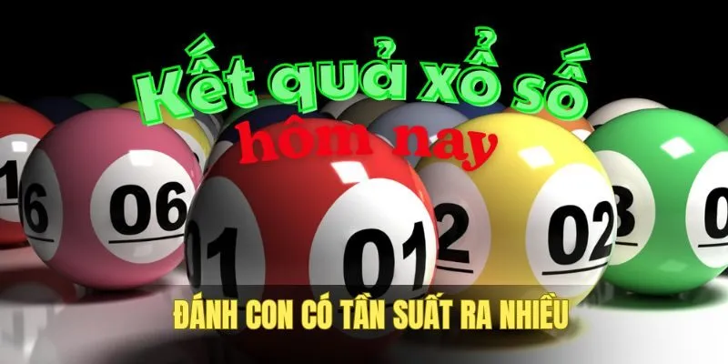 Con nào tần suất về nhiều dễ ra tiếp